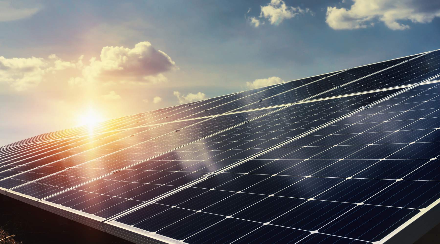 A large ground-mounted solar array with the sun low and flaring across the panels.